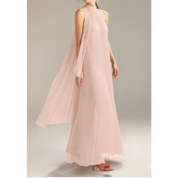 AW BRIDAL Dresses & Skirts - AW BRIDAL 4 S pearl pink Louise chiffon bridesmaid formal maxi dress NEW B143